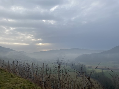 Früh am Morgen - Tatjana Weis