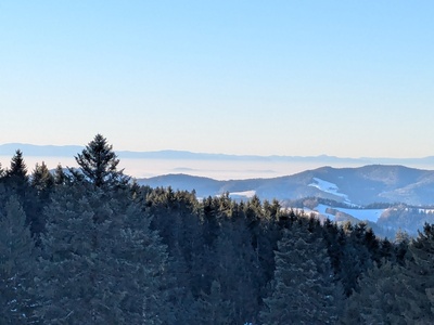 Alles mein Schwarzwald - Sylvia Seitz