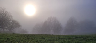 Reichentaler Obstwiesen - Birgitt Schürmann