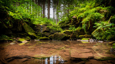 Rötenbachschlucht Bach - Tobias Bühler