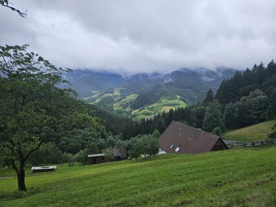 Sicht ins Tal - Nicole Kapfer