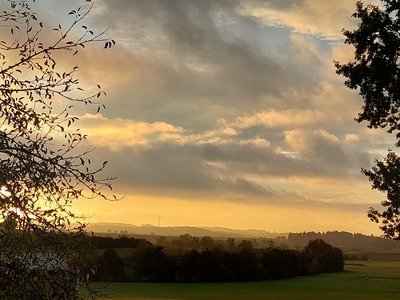 Fernblick - Barbara Mauritz