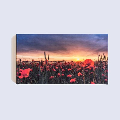 Gutschein Wandbild 50€